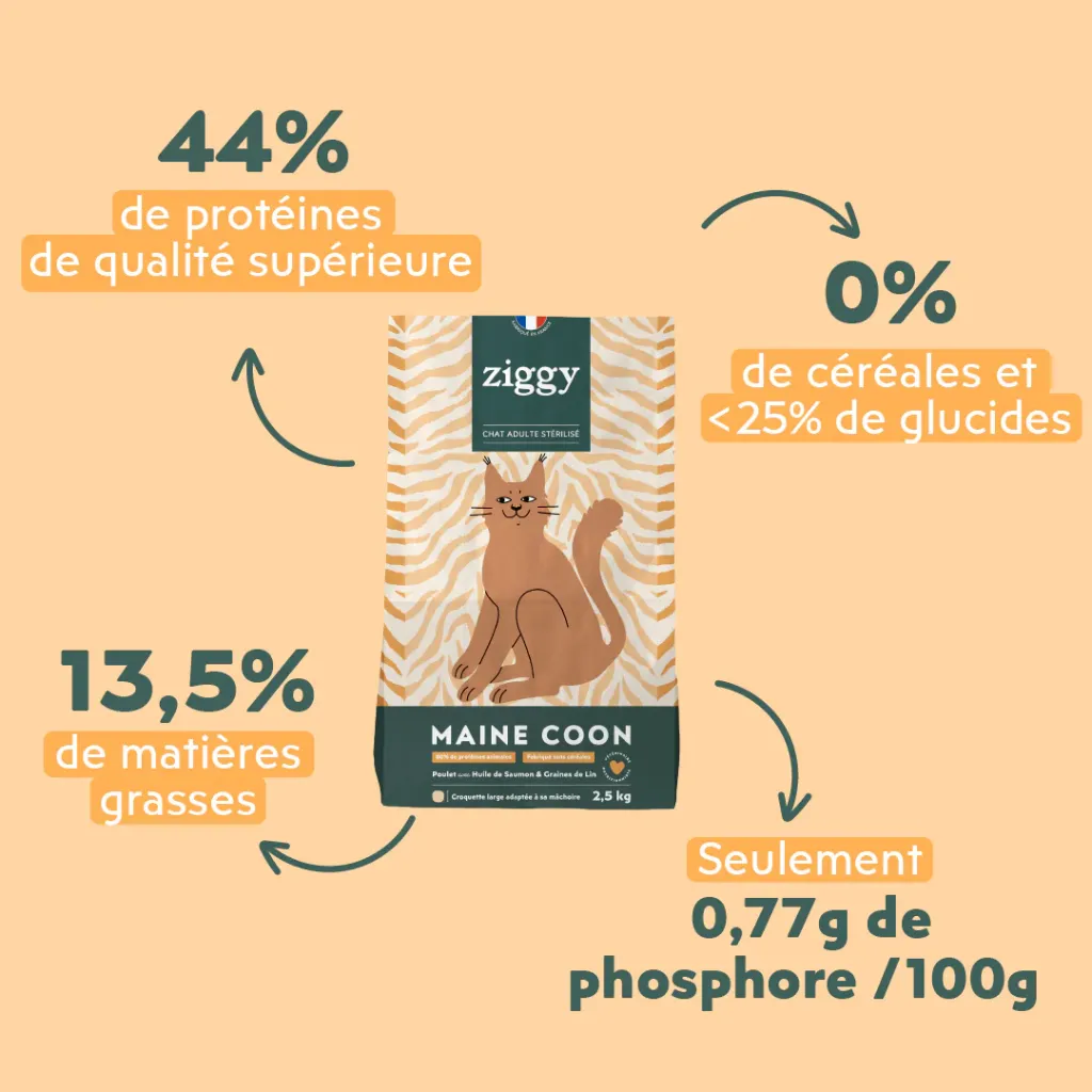 croquetteschat-CMCPTSC2_3.webp