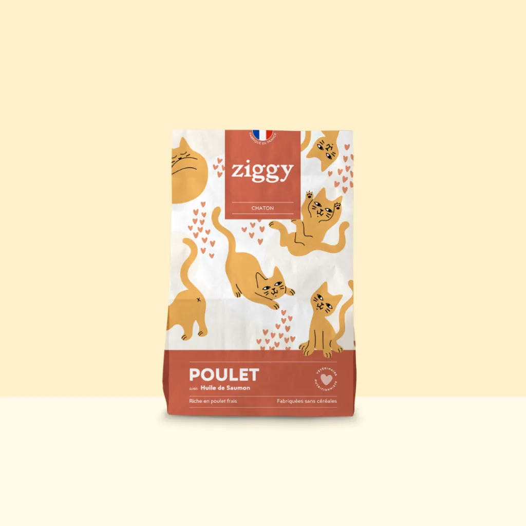 croquetteschaton-CCHPTSC1_1.webp
