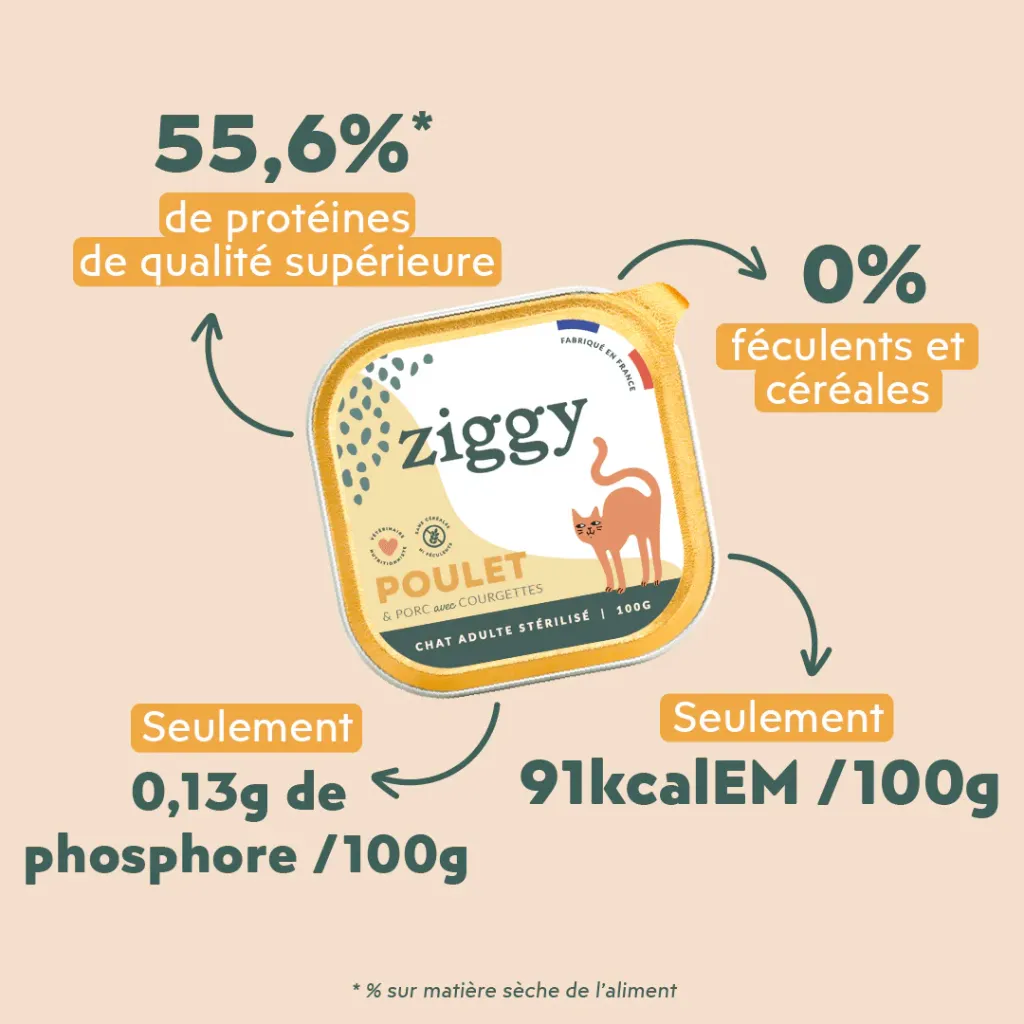 pateechat-PSTPT1_3.webp