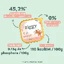 pateechat-PENBF1_3.webp