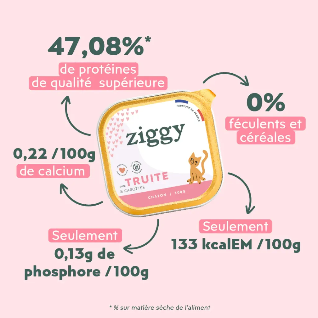 pateechaton-PCHTT1_3.webp
