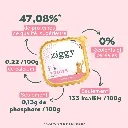 pateechaton-PCHTT1_3.webp