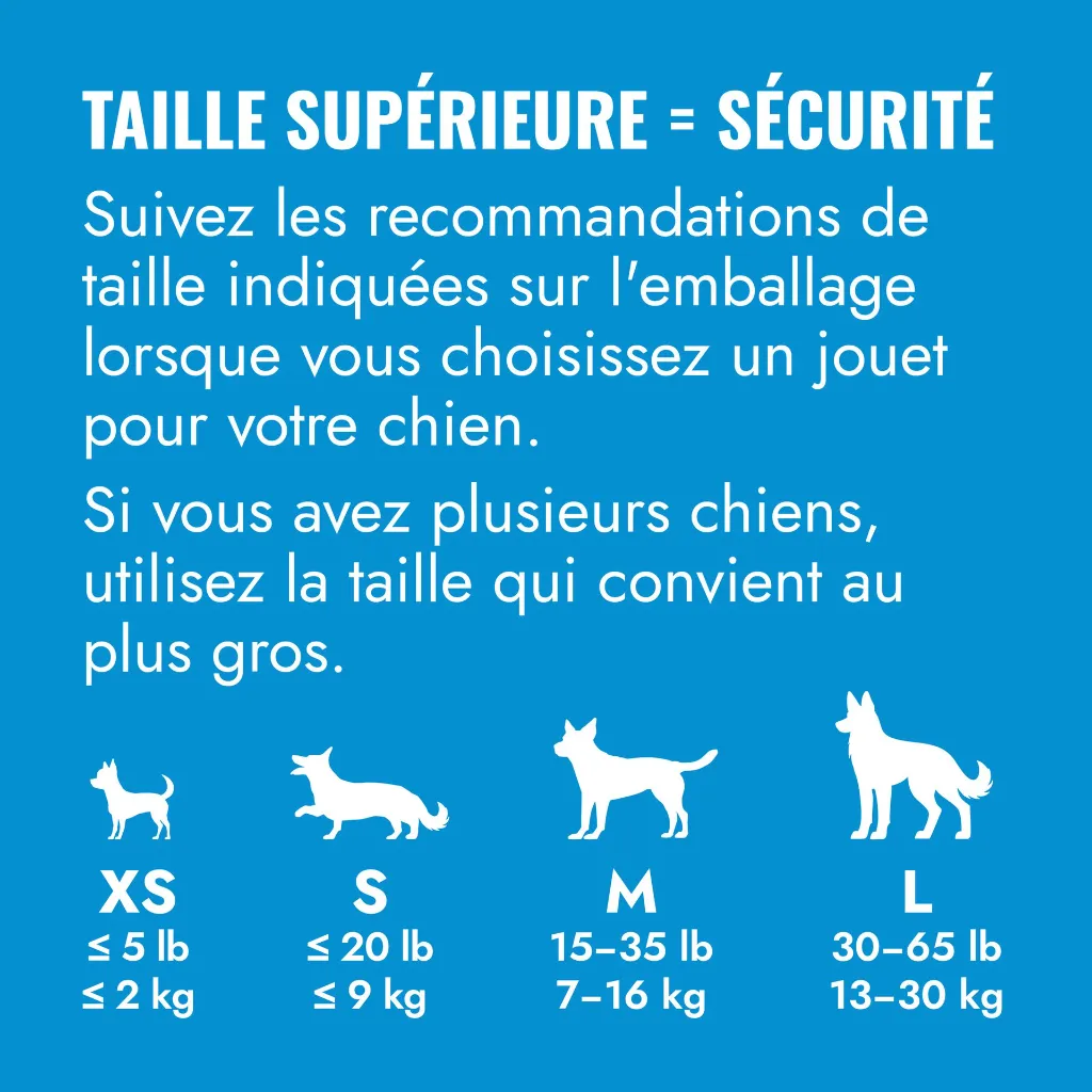 KP4E_EDU_1_FR.webp