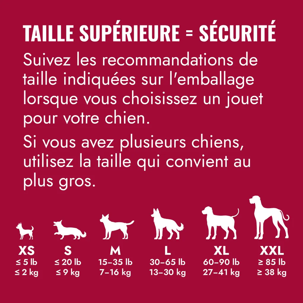 T4E_EDU_1_FR.webp