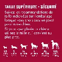 T4E_EDU_1_FR.webp