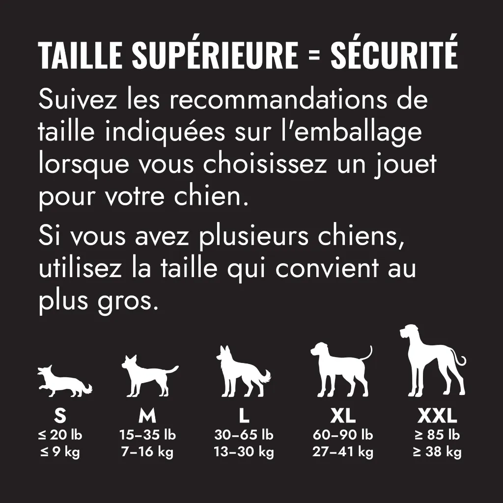 K3E_EDU_1_FR.webp