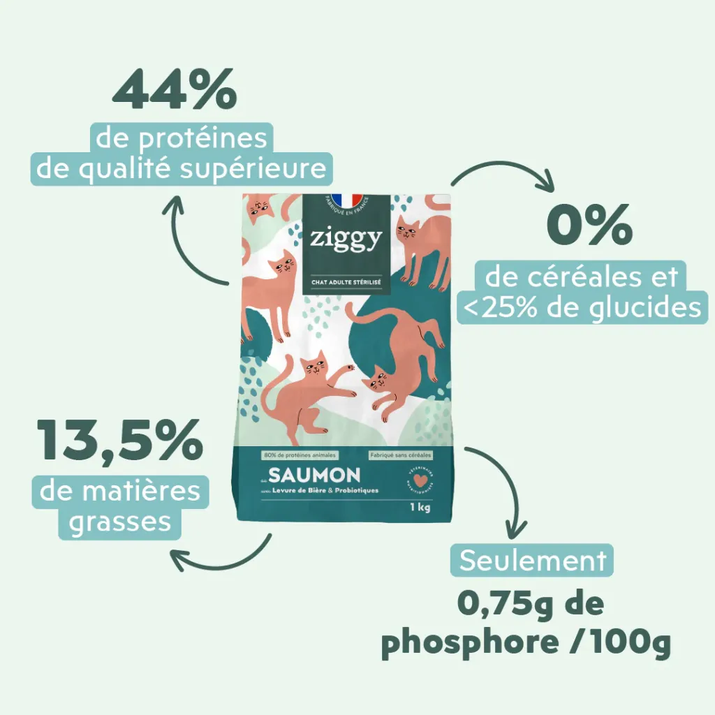 croquetteschat-CSTPNSC1_3.webp