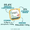 Pateechat-PSTPN1_3.webp