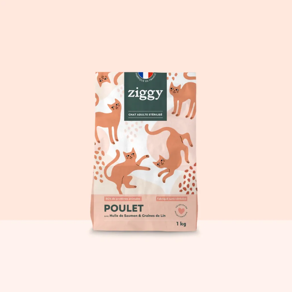 croquetteschat-CSTPTSC1_1.webp