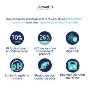 Croquettes Chat adulte stérilisé au Saumon – Image 3