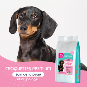 Croquettes Chien | Soins de la Peau et du Pelage au Saumon – Image 2