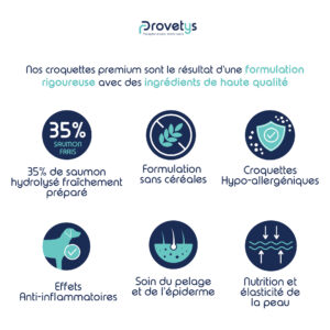 Croquettes Chien | Soins de la Peau et du Pelage au Saumon – Image 3