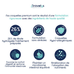 Croquettes Chien | Soins Gastro-Intestinaux et Digestifs à la Dinde – Image 3